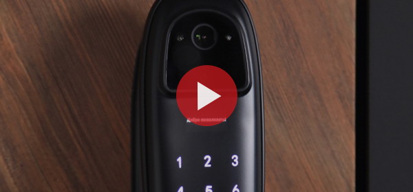Входная дверь Стальная дверь Plata (биометрический замок Smart lock DZ 888)