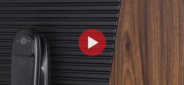 Входная дверь Стальная дверь Сапсан с зеркалом (биометрический замок Smart lock DZ 888)