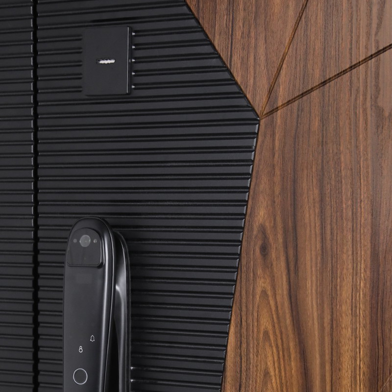 Входная дверь Стальная дверь Сапсан с зеркалом (биометрический замок Smart lock DZ 888)