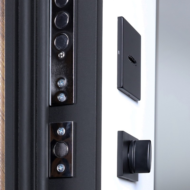 Входная дверь Стальная дверь Plata с зеркалом (биометрический замок Smart lock DZ 888)