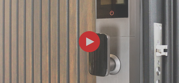 Электронный замок Smart lock DZ016Pro