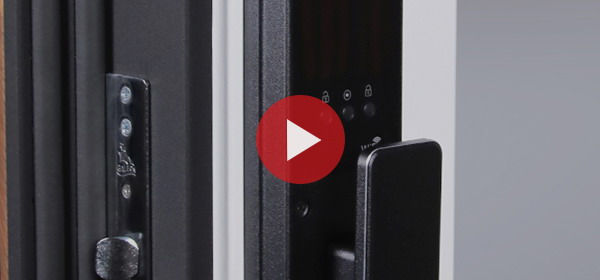 Входная дверь Стальная дверь Plata с зеркалом (биометрический замок Smart lock Y23)
