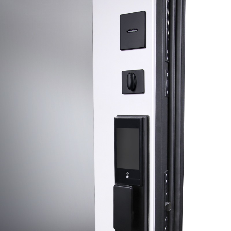 Входная дверь Стальная дверь Сапсан с зеркалом (биометрический замок Smart lock DZ 888)