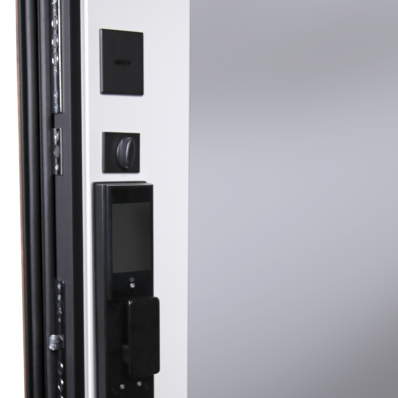 Входная дверь Стальная дверь Plata с зеркалом (биометрический замок Smart lock DZ 888)
