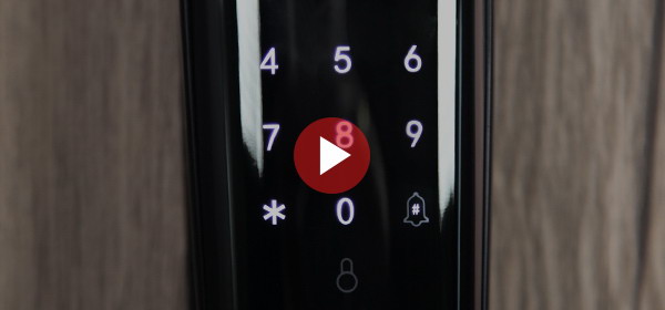 Электронный замок Smart lock DZ 888