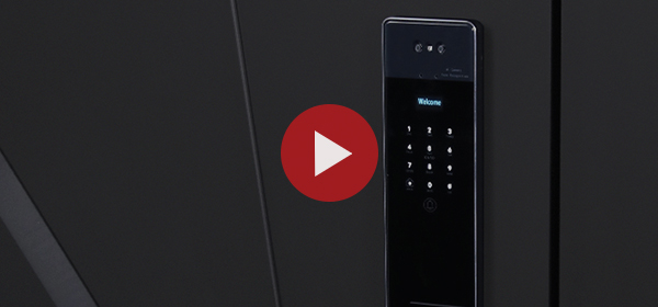 Входная дверь Стальная дверь Обсидиан 3D (биометрический замок Smart lock Y23). Заказная модель.