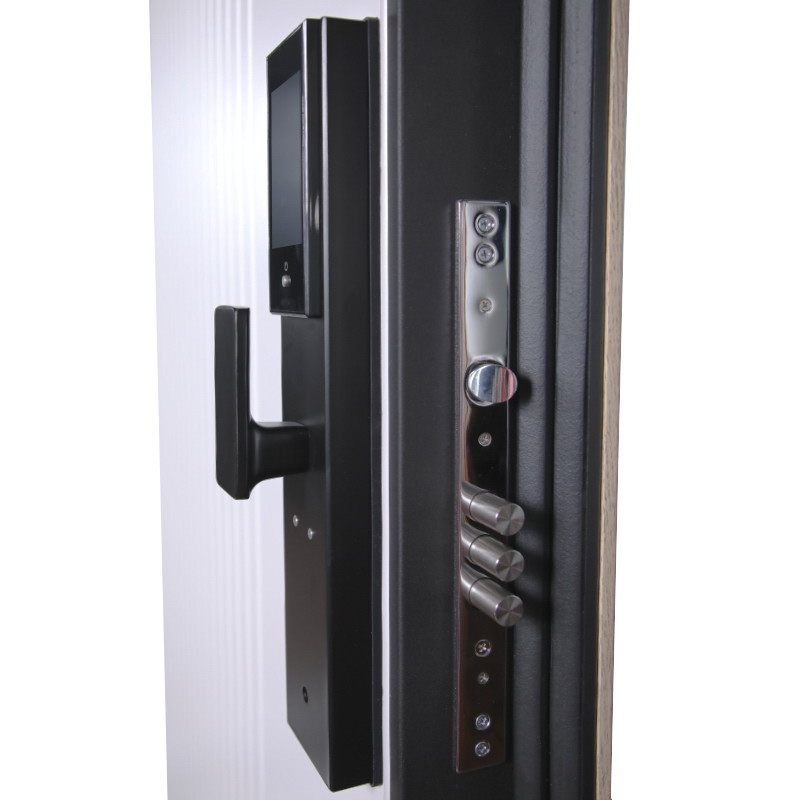 Электронный замок Smart lock DZ 888