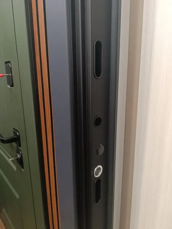 Входная дверь Стальная дверь Forest (биометрический замок Smart lock R06)