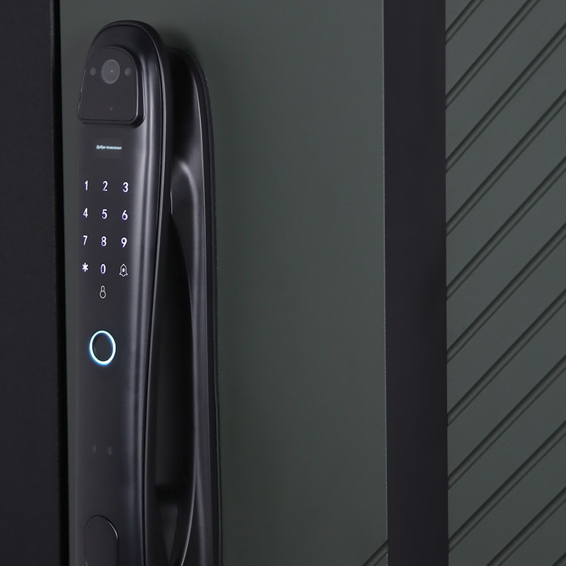 Входная дверь Стальная дверь Лион (биометрический замок Smart lock DZ 888). Заказная модель.