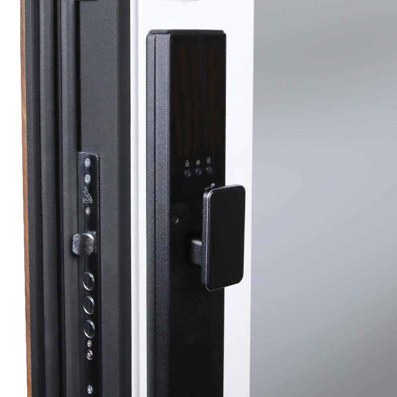 Входная дверь Стальная дверь Plata с зеркалом (биометрический замок Smart lock Y23)