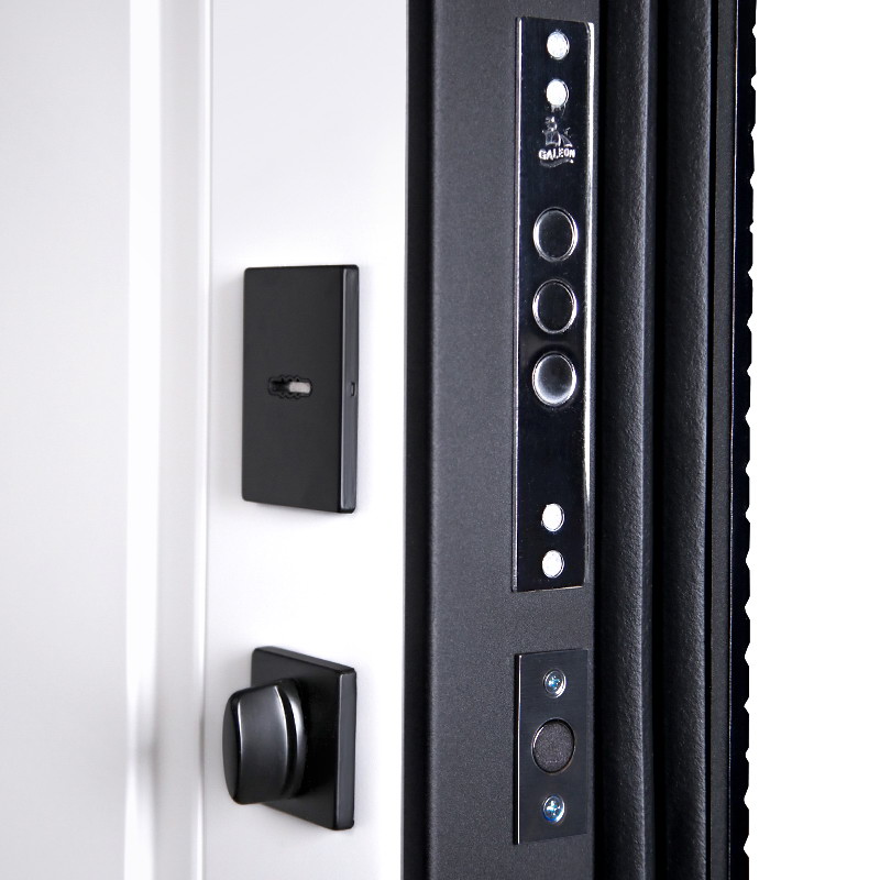 Входная дверь Стальная дверь Сапсан (биометрический замок Smart lock Y23)