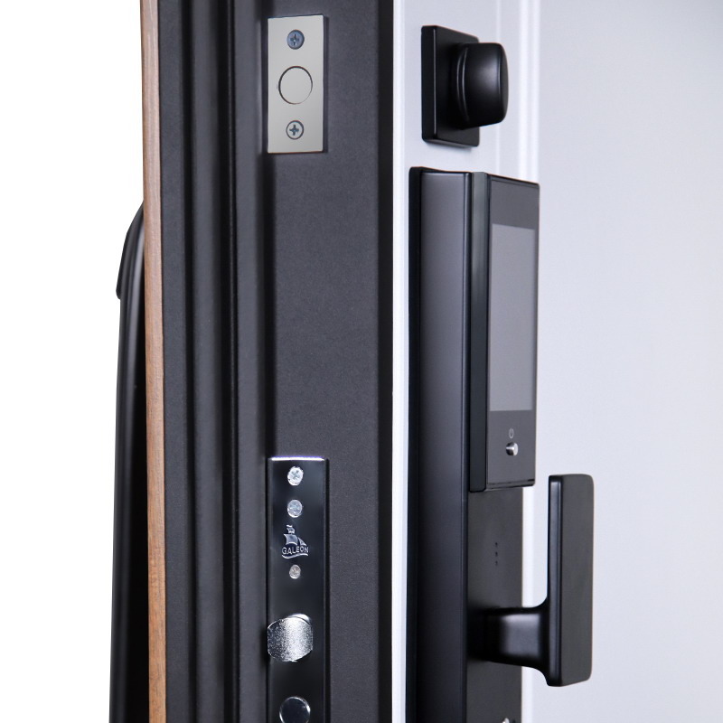 Входная дверь Стальная дверь Макс 3D (Smart lock DZ 888). Заказная модель.