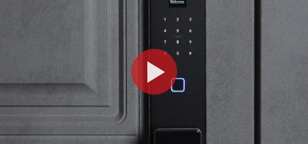 Входная дверь Стальная дверь Лира (биометрический замок Smart lock K06)
