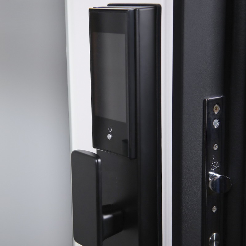 Входная дверь Стальная дверь Сапсан с зеркалом (биометрический замок Smart lock DZ 888)