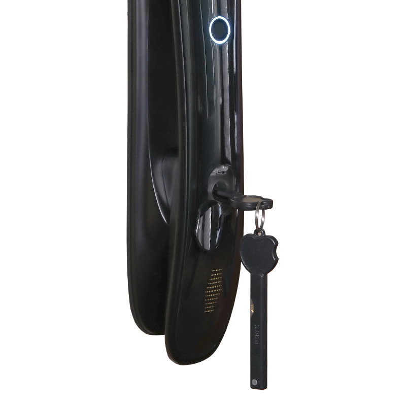 Электронный замок Smart lock DZ 888