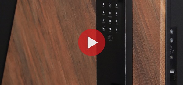 Входная дверь Стальная дверь Plata (биометрический замок Smart lock Y23)