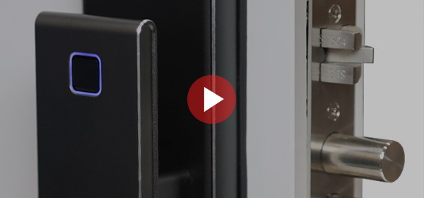 Электронный замок Smart lock DZ21Pro