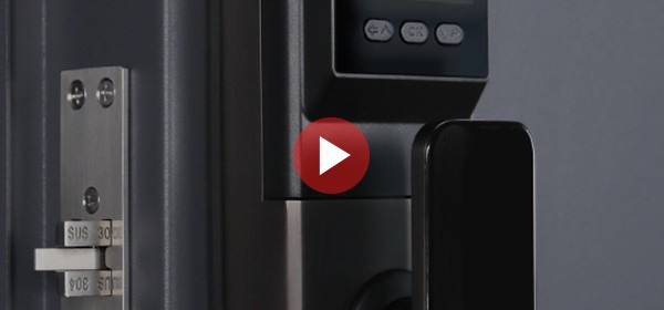 Электронный замок Smart lock DZ015B