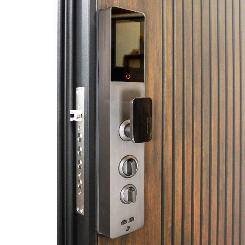 Электронный замок Smart lock DZ016Pro