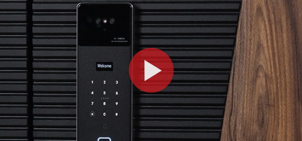 Входная дверь Стальная дверь Сапсан (биометрический замок Smart lock Y23)