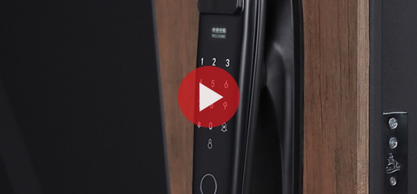 Входная дверь Стальная дверь Макс 3D (Smart lock DZ 888). Заказная модель.