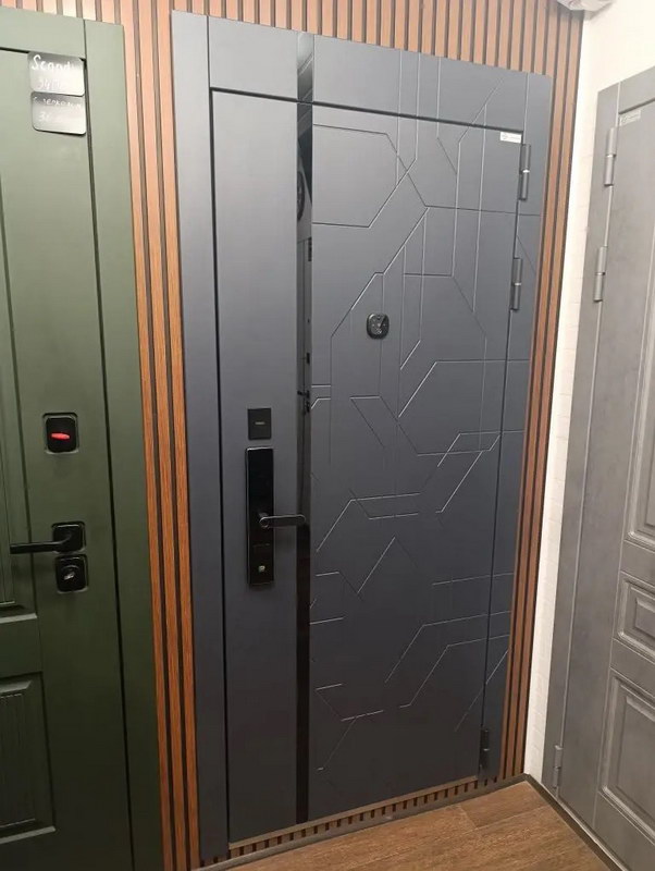 Входная дверь Стальная дверь Forest (биометрический замок Smart lock R06)