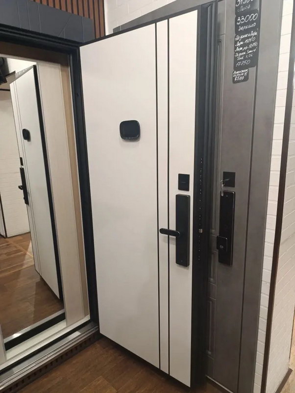 Входная дверь Стальная дверь Forest (биометрический замок Smart lock R06)