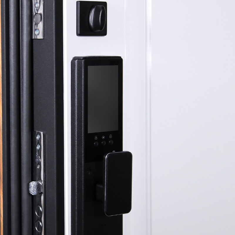 Входная дверь Стальная дверь Plata (биометрический замок Smart lock Y23)