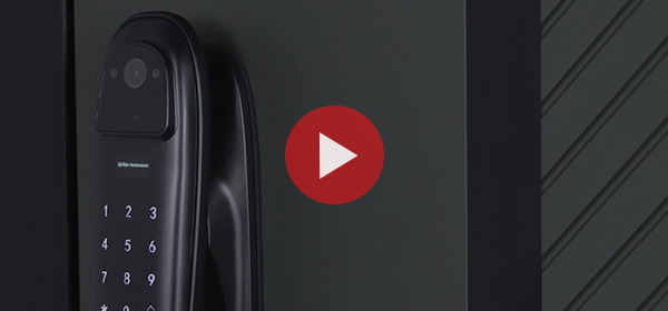 Входная дверь Стальная дверь Лион (биометрический замок Smart lock DZ 888). Заказная модель.