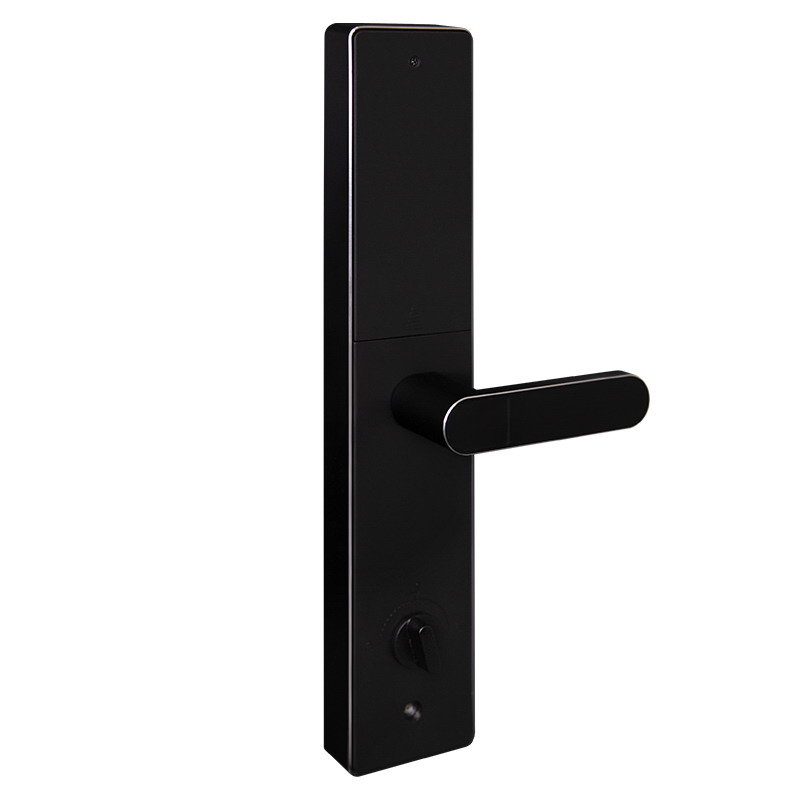 Биометрический врезной дверной замок Smart lock R06 с нажимной ручкой