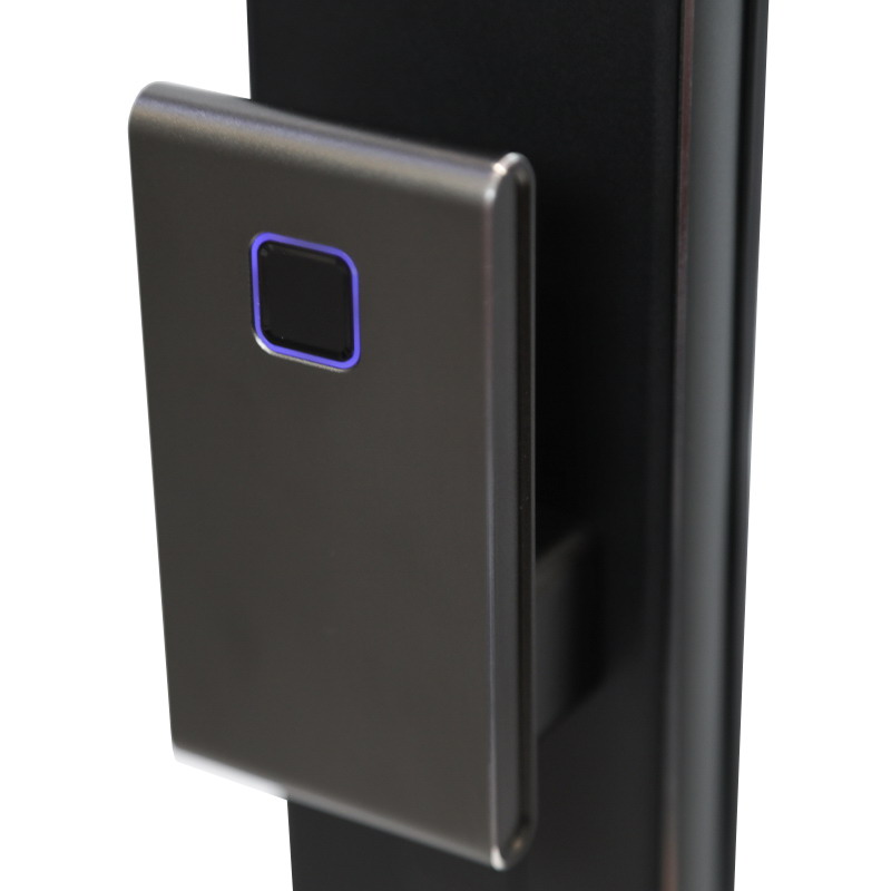 Электронный замок Smart lock DZ21Pro