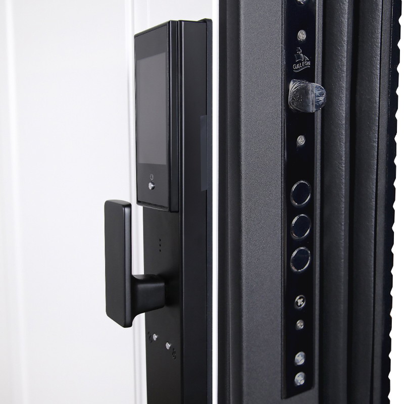 Входная дверь Стальная дверь Сапсан (биометрический замок Smart lock DZ 888)
