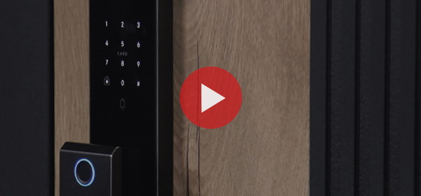 Входная дверь Стальная дверь Конструктор (биометрический замок Smart lock Y12)