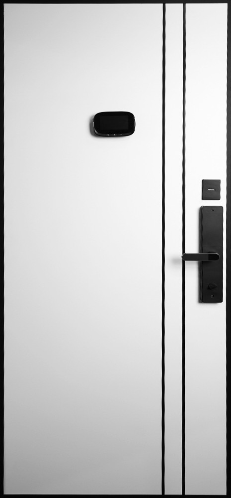 Входная дверь Стальная дверь Forest (биометрический замок Smart lock R06)