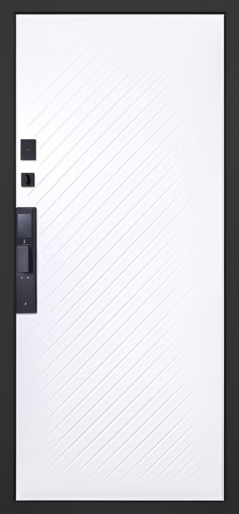 Входная дверь Стальная дверь Vertu (биометрический замок)