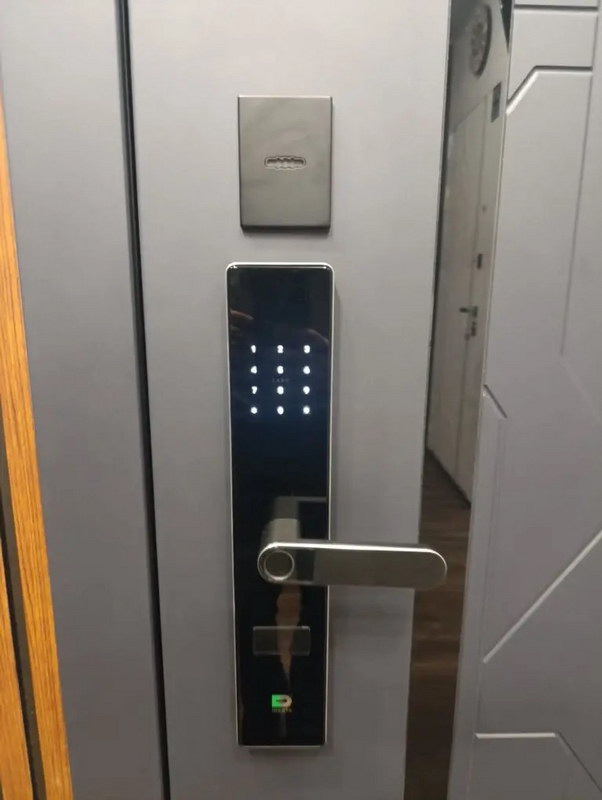 Входная дверь Стальная дверь Forest (биометрический замок Smart lock R06)