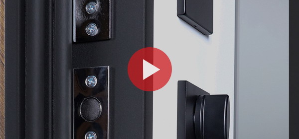 Входная дверь Стальная дверь Plata с зеркалом (биометрический замок Smart lock DZ 888)