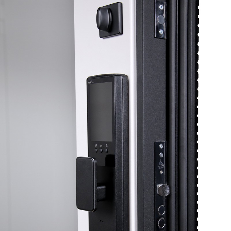 Входная дверь Стальная дверь Сапсан с зеркалом (биометрический замок Smart lock К06)