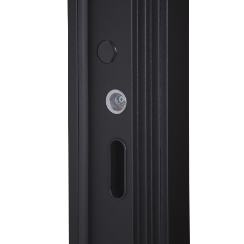 Входная дверь Стальная дверь Plata с зеркалом (биометрический замок Smart lock DZ 888)