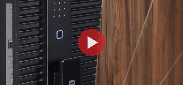 Входная дверь Стальная дверь Сапсан (биометрический замок Smart lock К06)