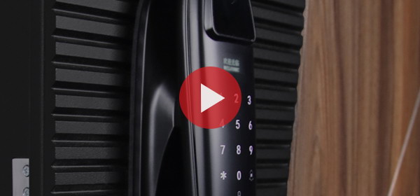Входная дверь Стальная дверь Сапсан (биометрический замок Smart lock DZ 888)