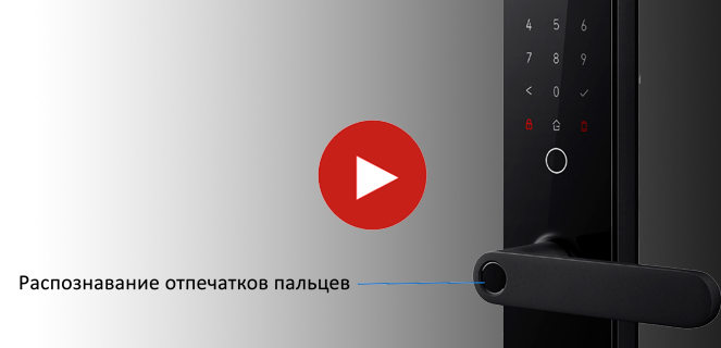 Замок дверной Aqara N100