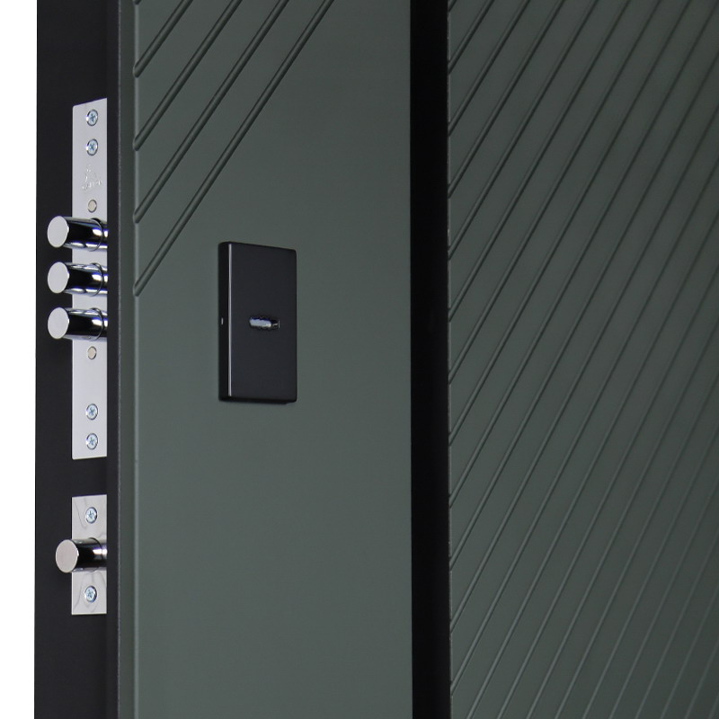 Входная дверь Стальная дверь Лион (биометрический замок Smart lock DZ 888). Заказная модель.