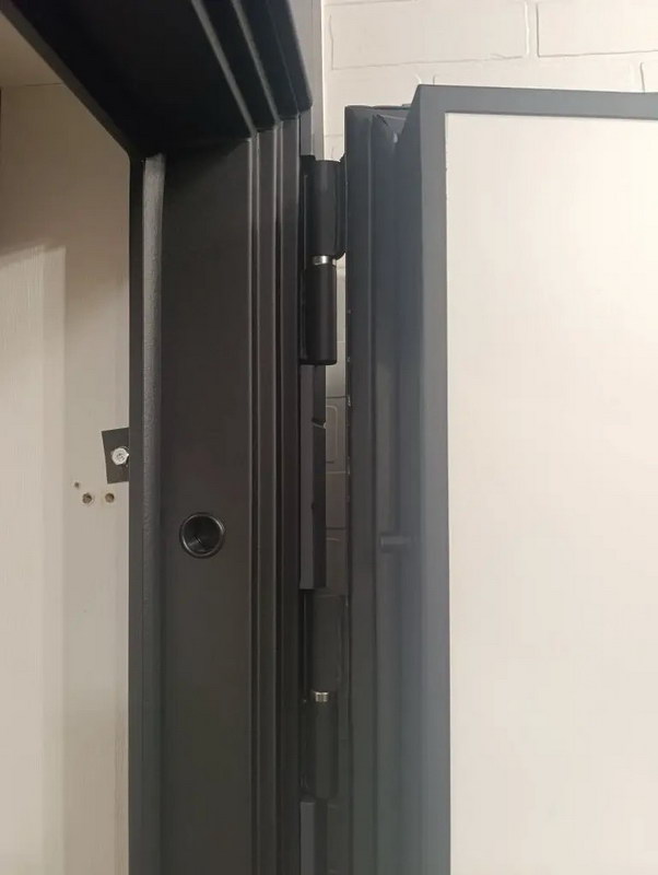 Входная дверь Стальная дверь Forest (биометрический замок Smart lock R06)