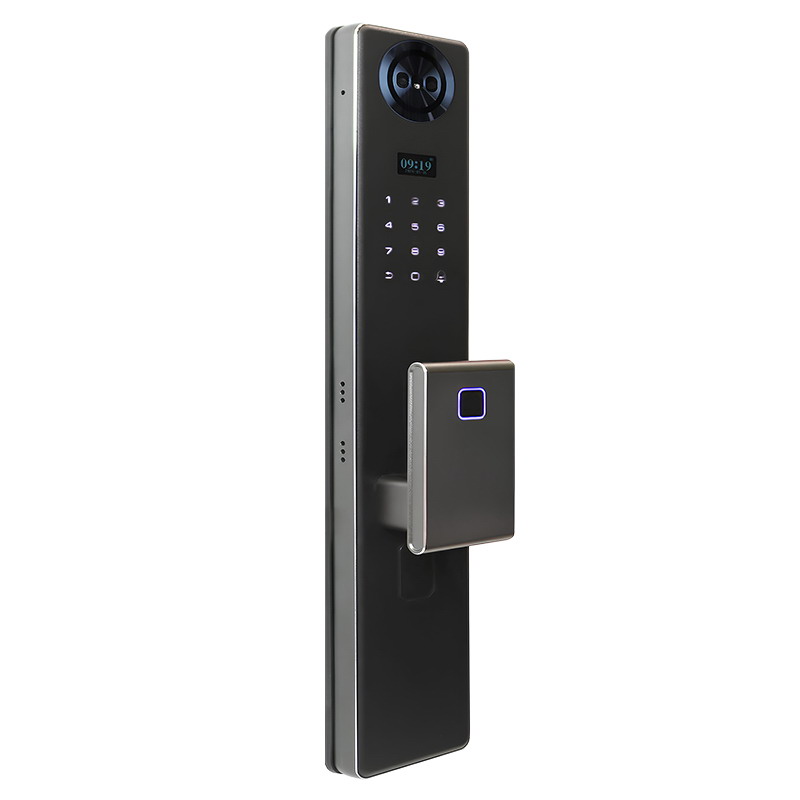 Электронный замок Smart lock DZ21Pro