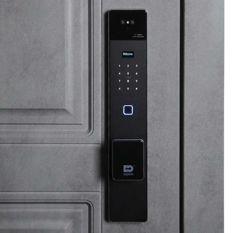 Входная дверь Стальная дверь Лира (биометрический замок Smart lock K06)