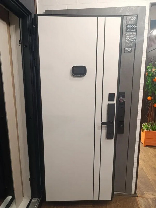 Входная дверь Стальная дверь Forest (биометрический замок Smart lock R06)