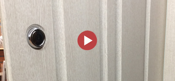 Входная дверь Стальная дверь Forest (биометрический замок Smart lock R06)