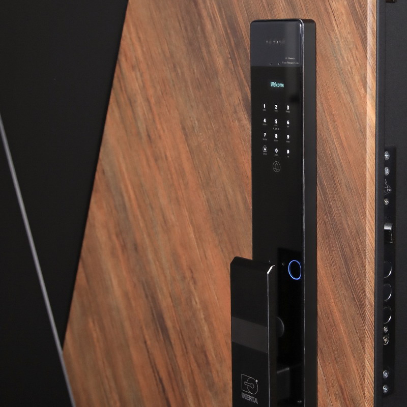 Входная дверь Стальная дверь Plata с зеркалом (биометрический замок Smart lock Y23)