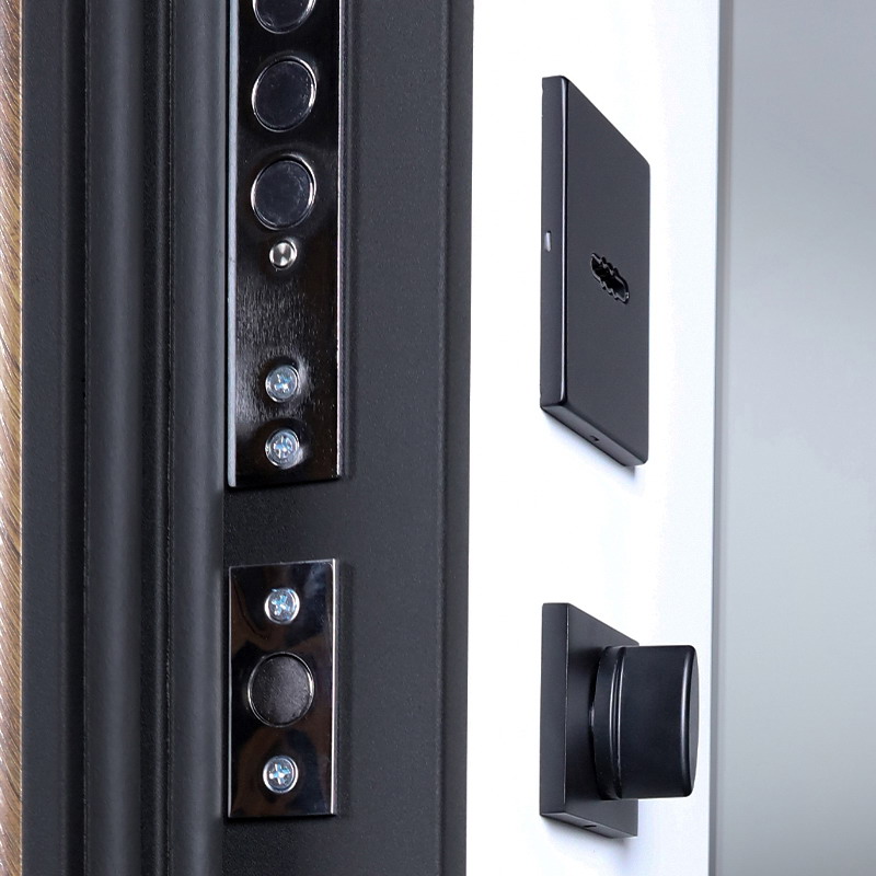 Входная дверь Стальная дверь Plata с зеркалом (биометрический замок Smart lock Y23)
